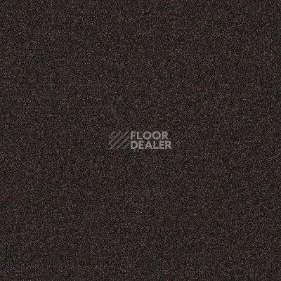 Ковровая плитка Interface Polichrome 7566 Espresso фото 1 | FLOORDEALER