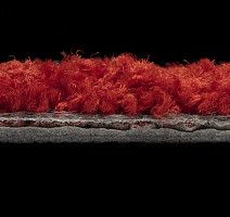 ColorKey ColorKey 03 фото 3 | FLOORDEALER