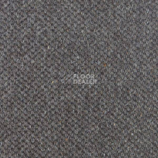 Ковролин Carpet Concept Goi 1 2810 фото 1 | FLOORDEALER