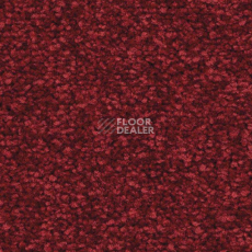 Ковролин Balsan First Class 582 фото 1 | FLOORDEALER