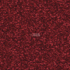 Balsan First Class 582 фото 1 | FLOORDEALER