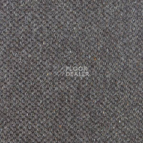 Ковролин Carpet Concept Goi 1 2810 фото 1 | FLOORDEALER