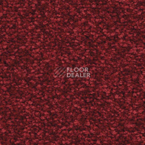 Ковролин Balsan First Class 582 фото 1 | FLOORDEALER