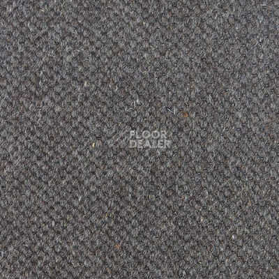 Ковролин Carpet Concept Goi 1 2810 фото 1 | FLOORDEALER