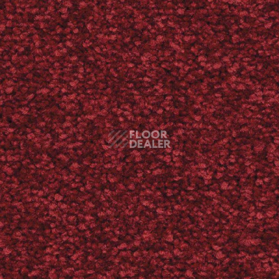 Ковролин Balsan First Class 582 фото 1 | FLOORDEALER