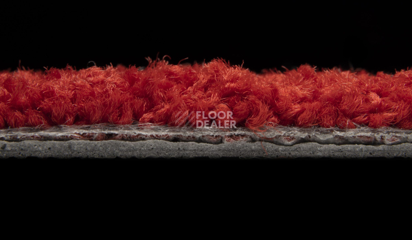 ColorKey ColorKey 03 фото 3 | FLOORDEALER