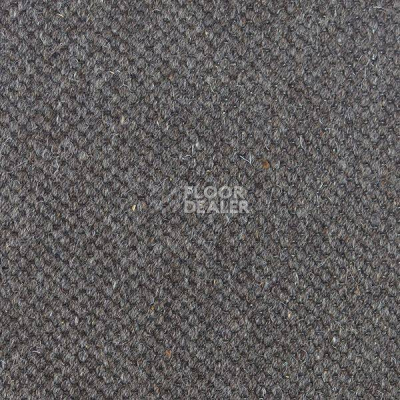 Ковролин Carpet Concept Goi 1 2810 фото 1 | FLOORDEALER