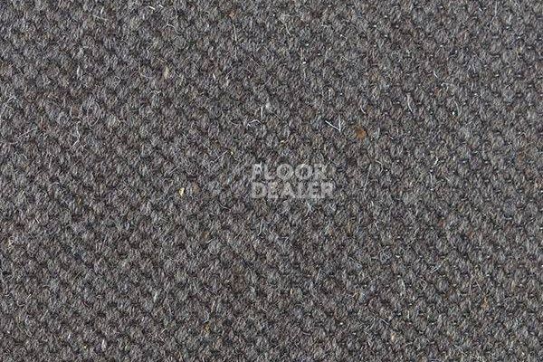Ковролин Carpet Concept Goi 1 2810 фото 1 | FLOORDEALER