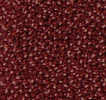 Ковролин Infloor Campino 160 фото 1 | FLOORDEALER