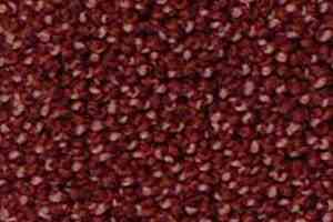 Ковролин Infloor Campino 160 фото  | FLOORDEALER