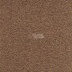 Ковролин AW Pearl 84 фото 1 | FLOORDEALER