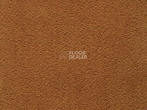 Ковролин In-Tense 55 фото 1 | FLOORDEALER