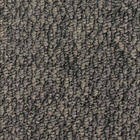 Ковролин AW Skye 49 фото 1 | FLOORDEALER