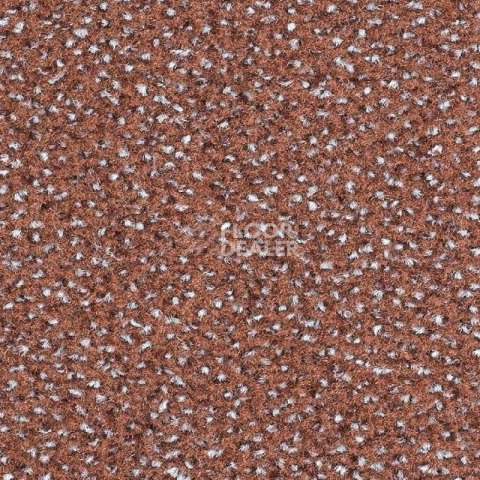 Ковролин Balsan Equinoxe 735 фото 1 | FLOORDEALER