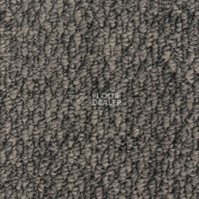Ковролин AW Skye 49 фото 1 | FLOORDEALER