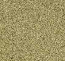 Ковролин Balta ITC Amaize Edison 23 фото 1 | FLOORDEALER