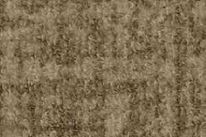 Ковролин AW Beau Rivage 36 фото  | FLOORDEALER