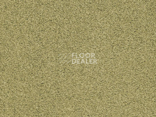 Ковролин Balta ITC Amaize Edison 23 фото 1 | FLOORDEALER
