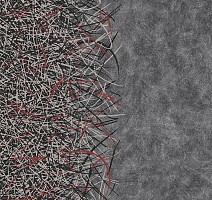 Ковролин Flotex by Starck Vortex 314002 Vortex Ruby a4 фото 1 | FLOORDEALER