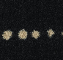 Ковролин Balsan Maori 970 фото 1 | FLOORDEALER