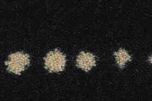 Ковролин Balsan Maori 970 фото  | FLOORDEALER