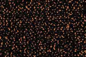 Ковровая плитка Desso Precious Metals Precious Metals Stardust 2931 фото  | FLOORDEALER