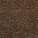 Ковролин Balta Cavalli 650  | FLOORDEALER