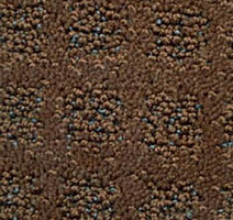 Ковролин Balta Cavalli 650 фото 1 | FLOORDEALER