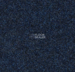 Ковролин Forbo Forte 96047 Pacific фото 1 | FLOORDEALER