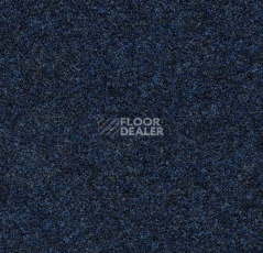 Ковролин Forbo Forte 96047 Pacific фото 1 | FLOORDEALER