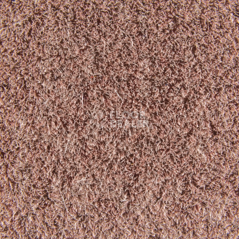 Forbo Flotex Colour s 482016 Penang Coral фото 2 | FLOORDEALER