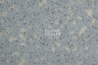 Линолеум Tarkett Acczent Pro Aspect 10 фото 1 | FLOORDEALER