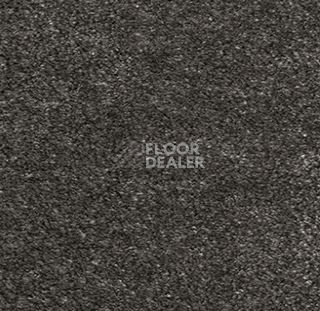 Ковролин AW Passion AW Passion  43 фото 1 | FLOORDEALER