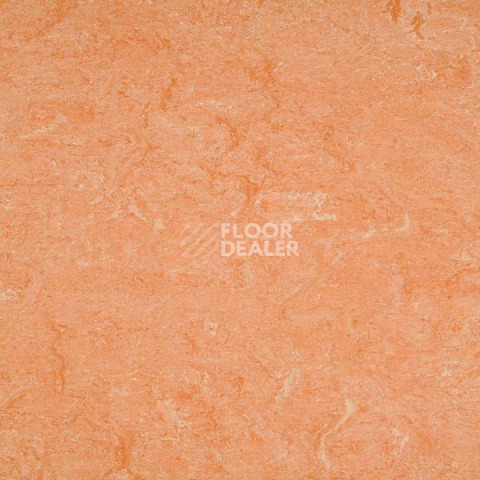Линолеум Gerflor Marmorette Acoustic DLW 121-075 фото 1 | FLOORDEALER