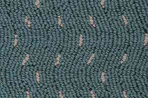 Ковролин Best Wool Hospitality 2 h 3150 - m 10011 фото  | FLOORDEALER