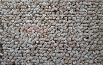 Ковролин Timzo Fortuna 3912 фото 1 | FLOORDEALER