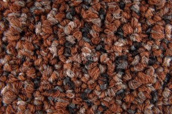 Desso Solid ac 73 5031 фото 7 | FLOORDEALER