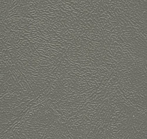 Линолеум GRABOPLAST JP 2.5 1568_00_216 фото 1 | FLOORDEALER