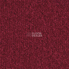 Ковролин Balsan Scenario 570 фото 1 | FLOORDEALER
