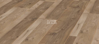 Ламинат Kronotex Exquisit 8мм d3665 Дуб Роузмонт фото 1 | FLOORDEALER