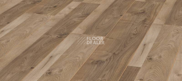 Ламинат Kronotex Exquisit 8мм d3665 Дуб Роузмонт фото 1 | FLOORDEALER