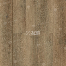 Кварцвиниловые полы Alpine Floor Premium XL 229 ECO 7-31 Дуб Эниф фото 1 | FLOORDEALER