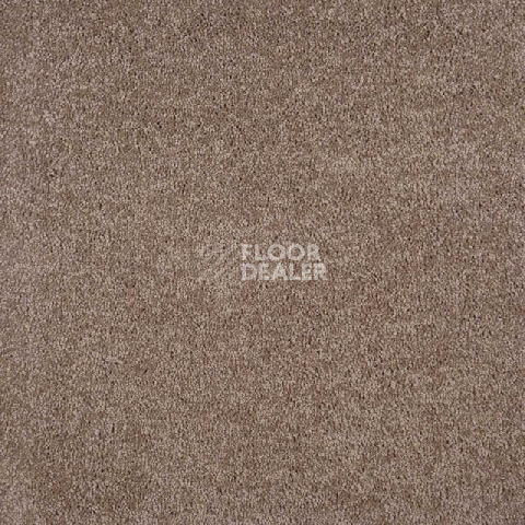 Ковролин Tarkett Sensa Sensa 03868 фото 1 | FLOORDEALER