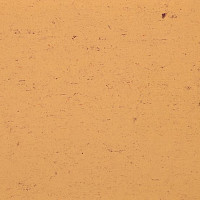 Линолеум Colorette 0073 Sand Yellow фото 1 | FLOORDEALER