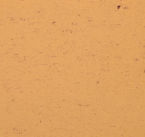 Линолеум Colorette 0073 Sand Yellow фото 1 | FLOORDEALER