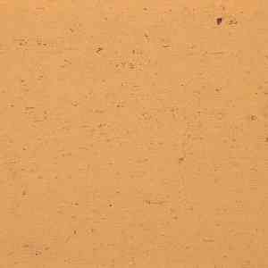 Линолеум Colorette 0073 Sand Yellow фото ##numphoto## | FLOORDEALER
