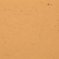 Линолеум Colorette 0073 Sand Yellow фото 1 | FLOORDEALER