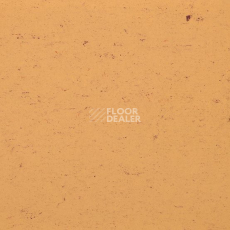 Линолеум Colorette 0073 Sand Yellow фото 1 | FLOORDEALER