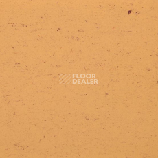 Линолеум Gerflor Colorette 0073 Sand Yellow фото 1 | FLOORDEALER