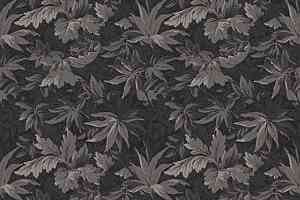 Ковролин Ege Highline Nature rf 5500815 фото  | FLOORDEALER